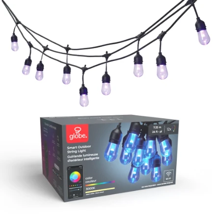 Globe Electric string lights